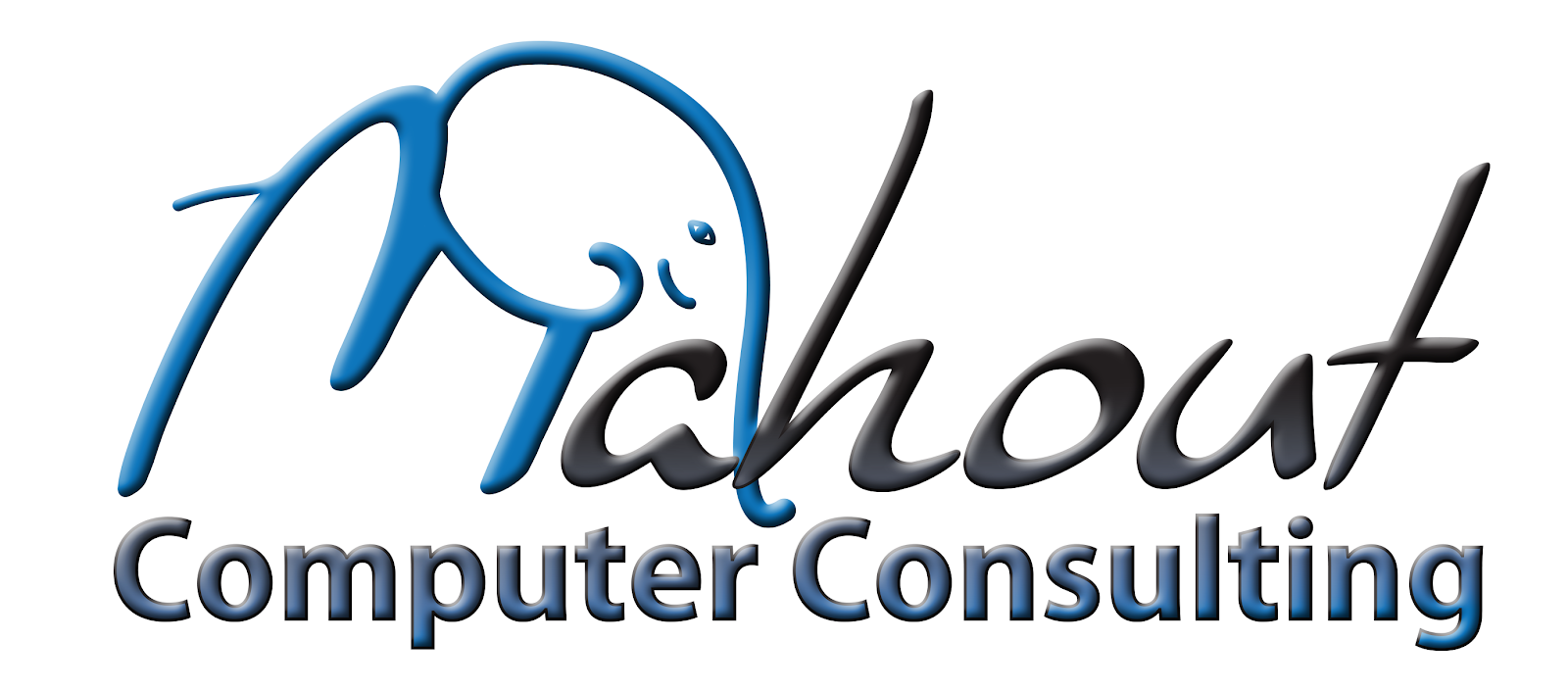 Mahout Computer & IT Services Computer Support And Services in Jamestown, New York photo