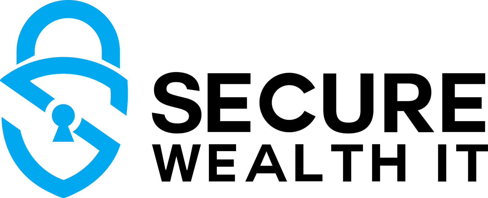 Secure Wealth IT Computer Support And Services in Belmont, North Carolina photo