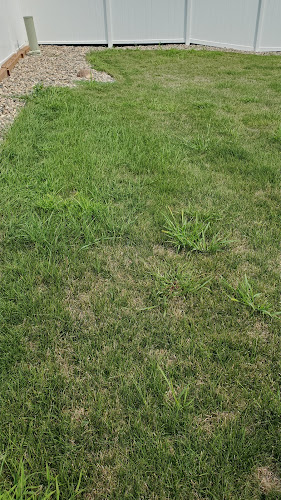 GreenCare Lawn Care Service in Mankato, MN photo