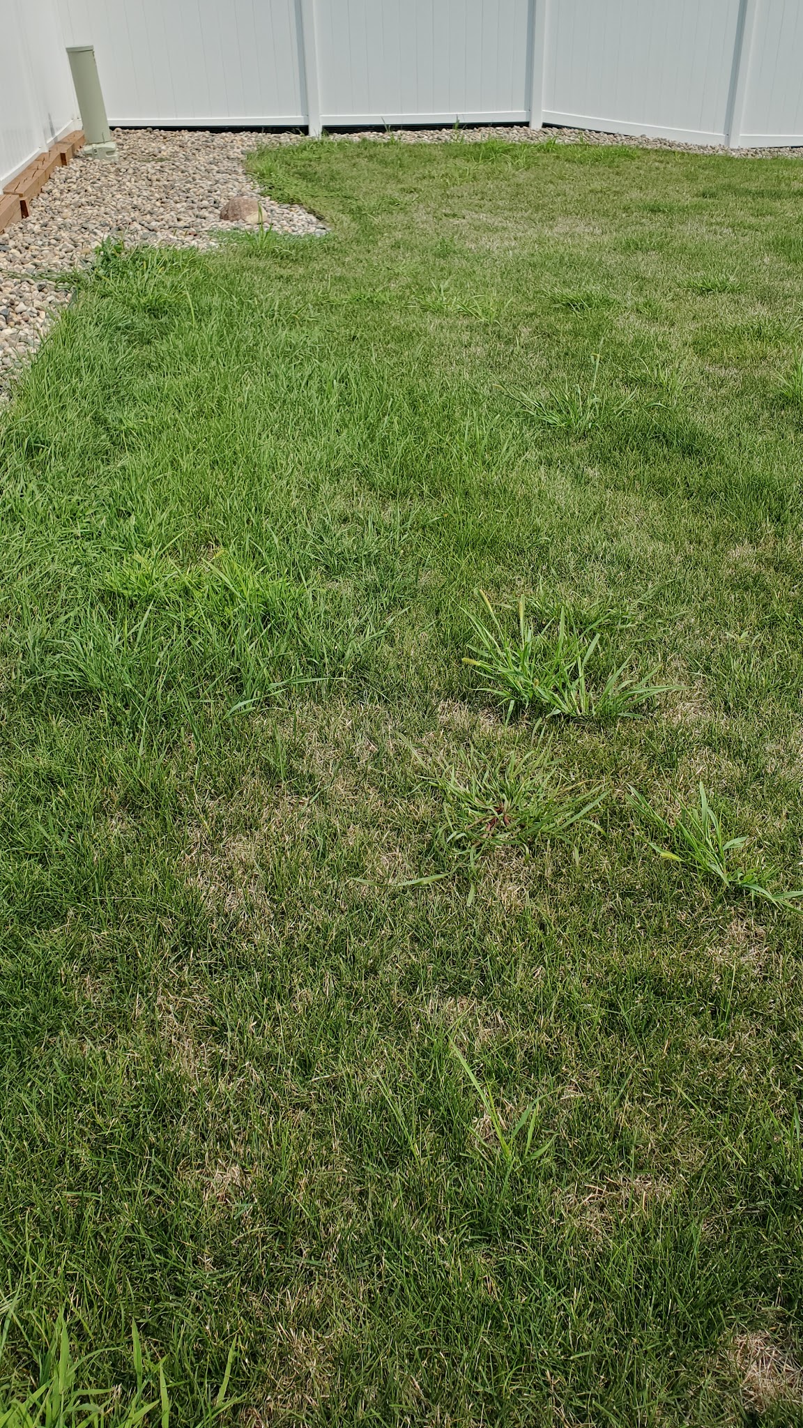 GreenCare Lawn Care Service in Mankato, MN photo