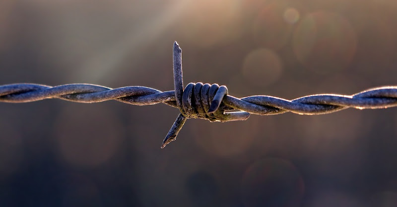 Irving Fence Repair Fence Contractor