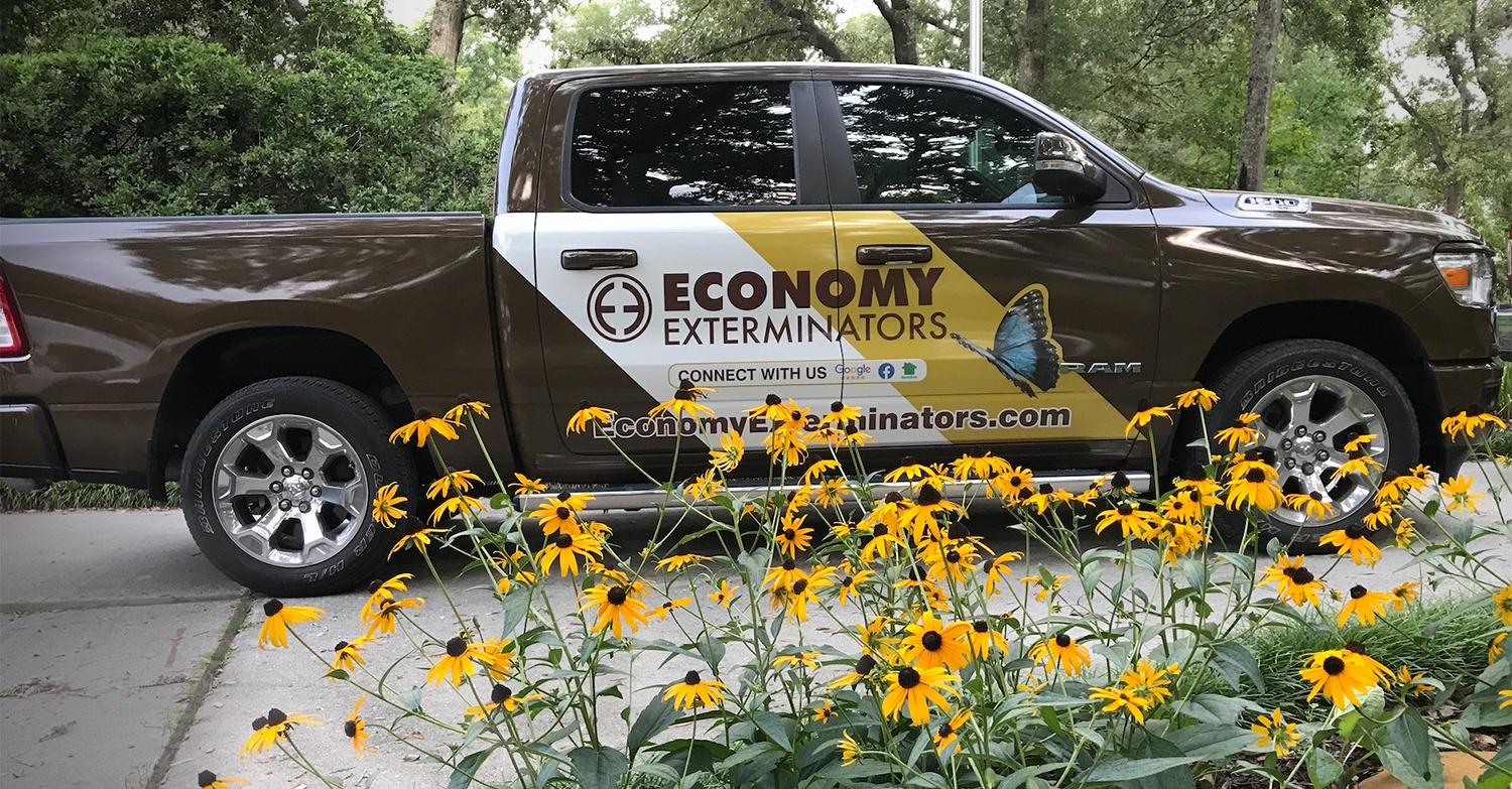 Economy Exterminators gallery photo