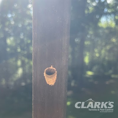 Clark's Termite & Pest Control gallery photo