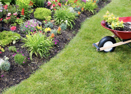 Gallery photo for Dakota Pro Landscape Services, LLC in Williston, ND