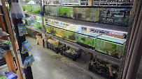 Gallery photo for Handy Andy's Nursery in Williston, ND