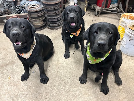 Sanborn's Auto Repair gallery photo