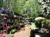 High Sierra Gardens, Inc. gallery photo