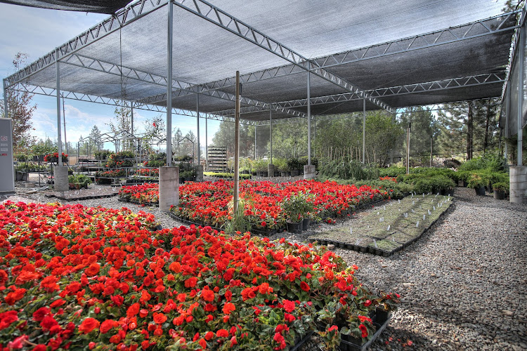 Rock & Rose Nursery + Landscape Landscape Designer in Truckee, CA photo