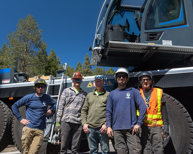 Tegrity Tree Care LLC Tree Service in Incline Village, NV photo