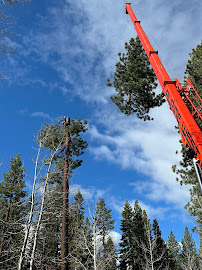 Tegrity Tree Care LLC gallery photo