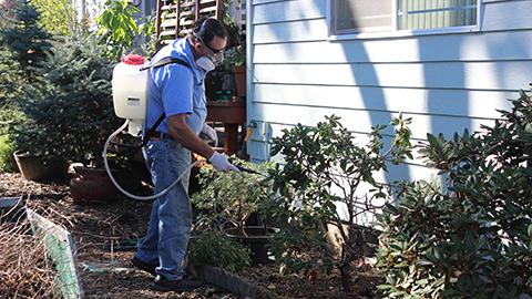 TryT thBurton Pest Control Pest Control Service in Hillsboro, OR photo