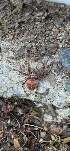 Prime Pest Solutions Pest Control Service in Beaverton, OR photo