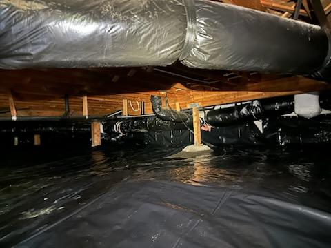 EcoCare Pest Control Pest Control Service in Portland, OR photo