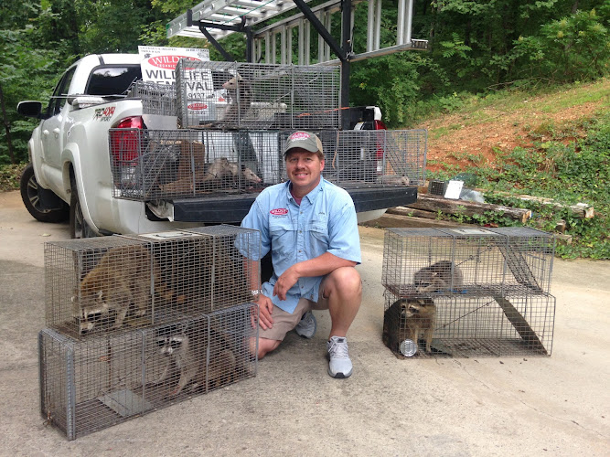 Wildlife Technicians Animal Control Service in Cleveland, TN photo