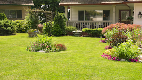 Empire Lawn Care Lawn Care Service in Arlington, TX photo
