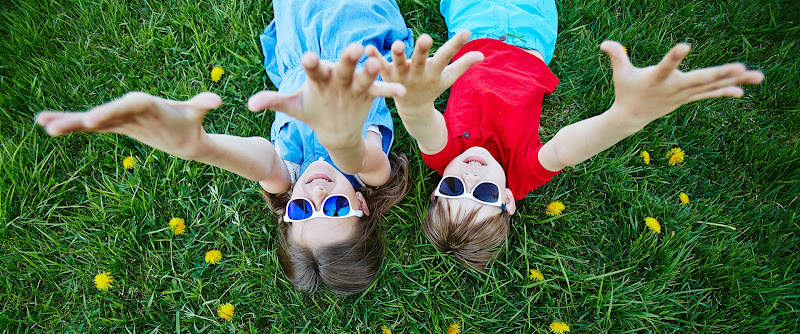 Handsome Lawn Service Lawn Care Service in Kennedale, TX photo