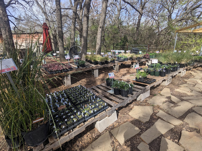 Native Gardeners Plant Nursery in Arlington, TX photo