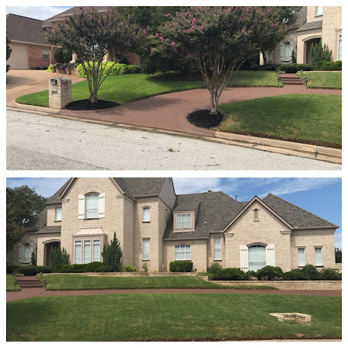 C&M Landscaping LLC Landscaper in Arlington, TX photo