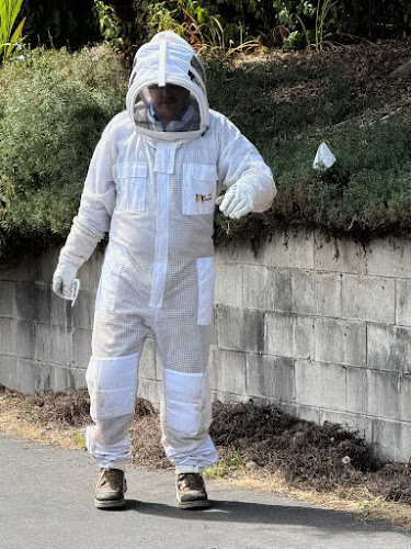 Insight Pest Control - Bremerton Pest Control Service in Bremerton, WA photo