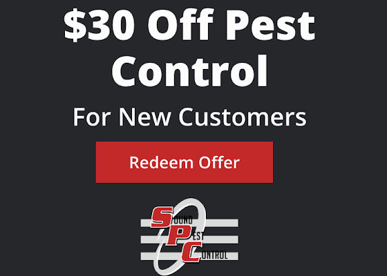 Sound Pest Control gallery photo