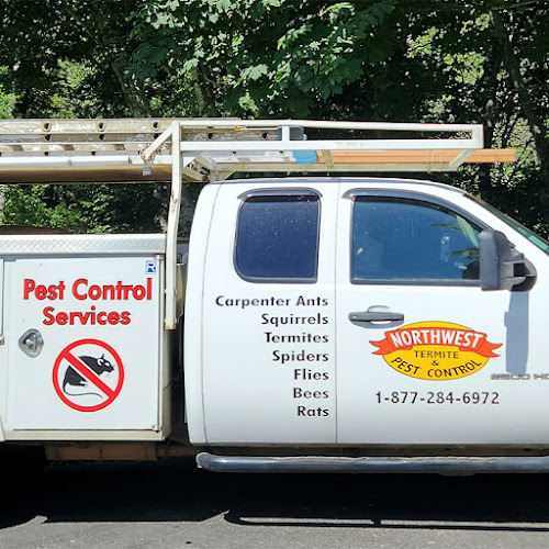 Northwest Termite & Pest Control Pest Control Service in Belfair, WA photo