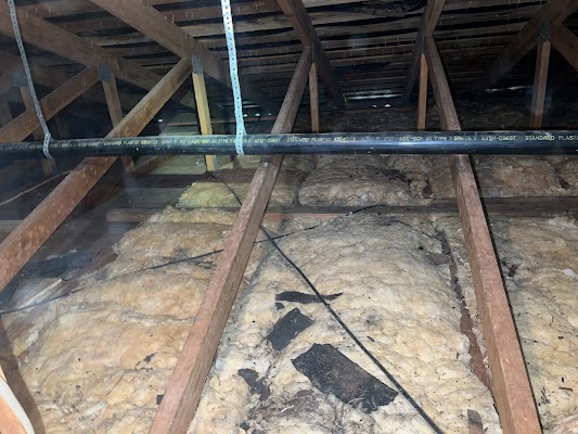 Northwest Crawl Space Services gallery photo