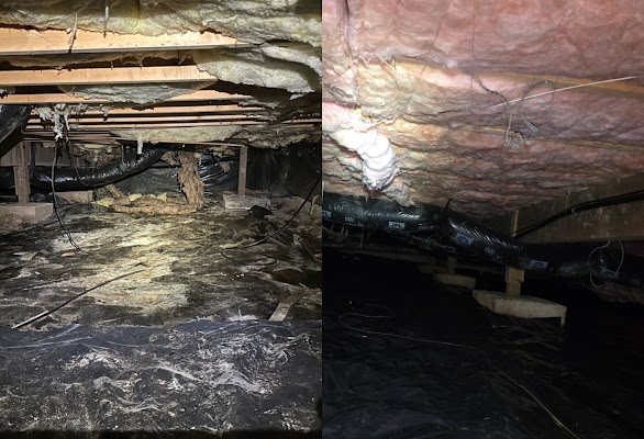 Northwest Crawl Space Services gallery photo