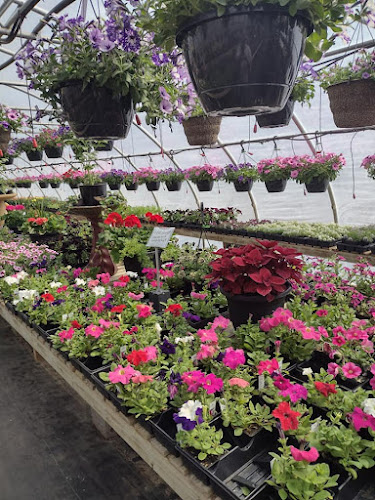 Green Thumb Landscaping & Excavating Inc Landscaper in Eau Claire, WI photo
