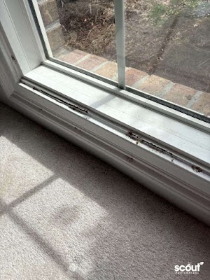 Gallery photo for Scout Pest Control, Pest Control Service in Tanner, AL