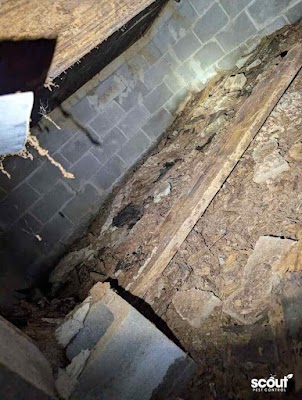 Gallery photo for Scout Pest Control, Pest Control Service in Tanner, AL