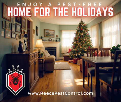 Reece Pest Control gallery photo