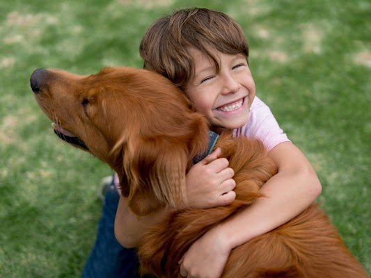 American Pest Control gallery photo