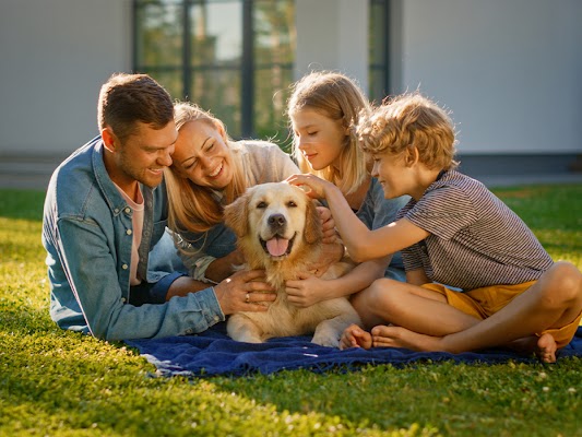 American Pest Control gallery photo
