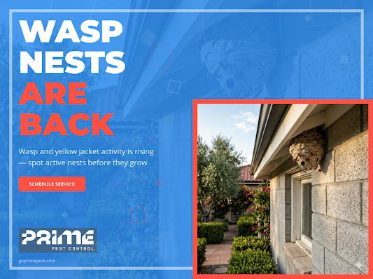 Prime Pest Control gallery photo