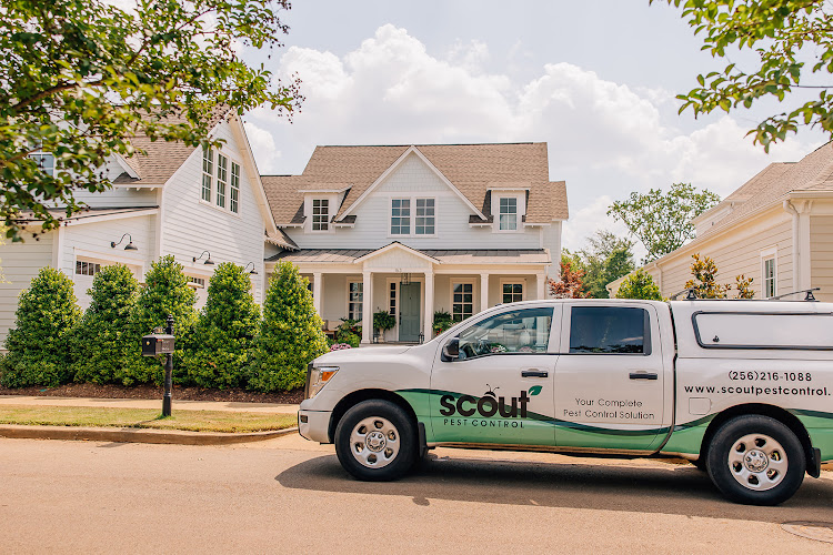 Scout Pest Control Huntsville Pest Control Service in Huntsville, AL photo