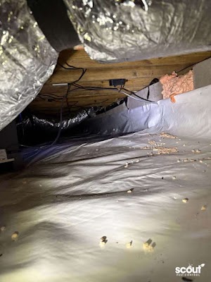 Scout Pest Control Huntsville gallery photo
