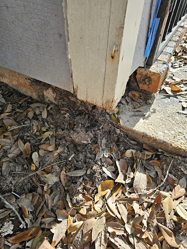Terminator Pest Control Pest Control Service in Mobile, AL photo