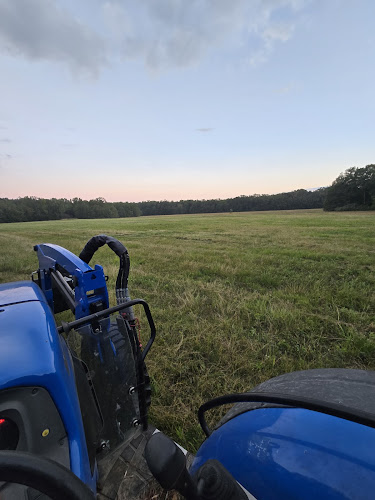 Beene's Bush Hogging Lawn Care Service in Arkadelphia, AR photo