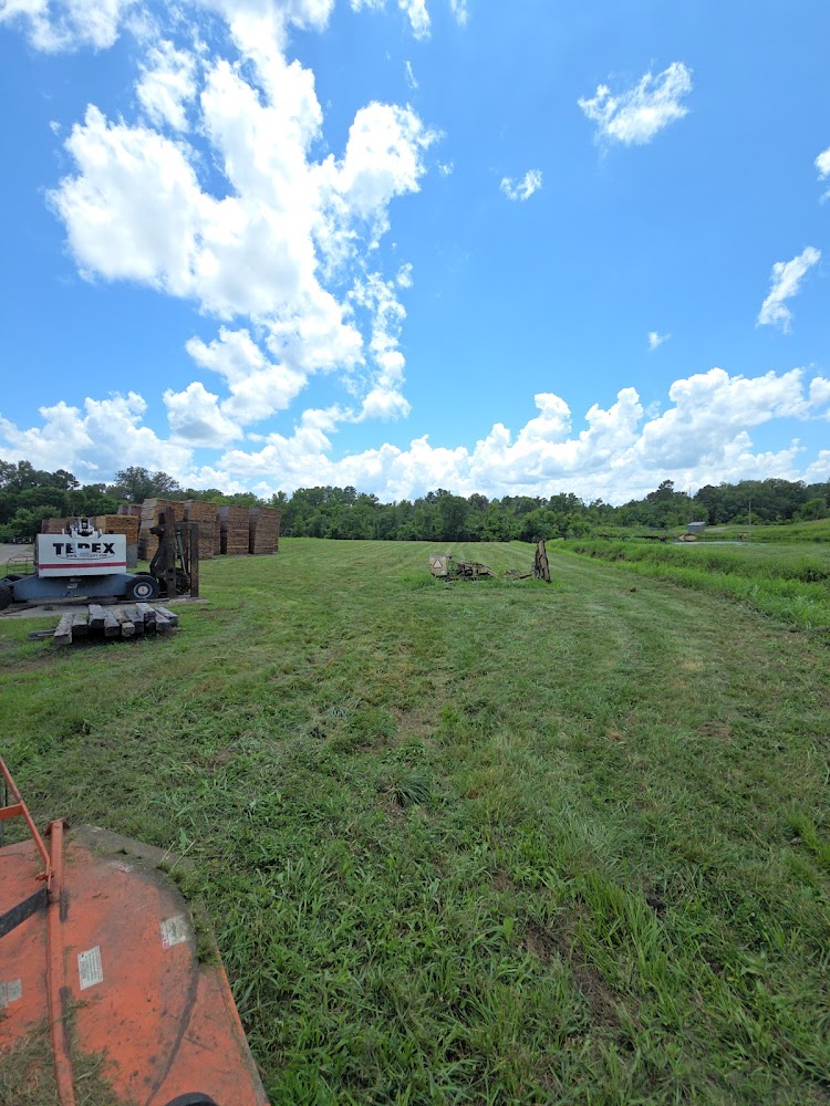 Beene's Bush Hogging Lawn Care Service