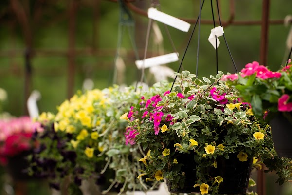 The Good Earth Garden Center photo