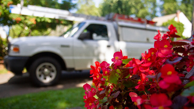 Richland Pest & Bee Control Pest Control Service in West Hartford, CT photo