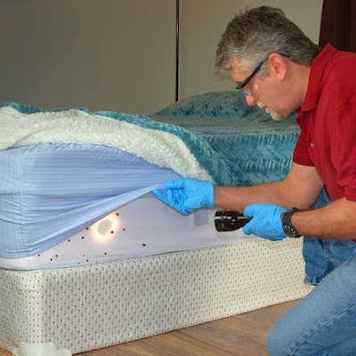 Eliminate 'Em Pest Control Services gallery photo