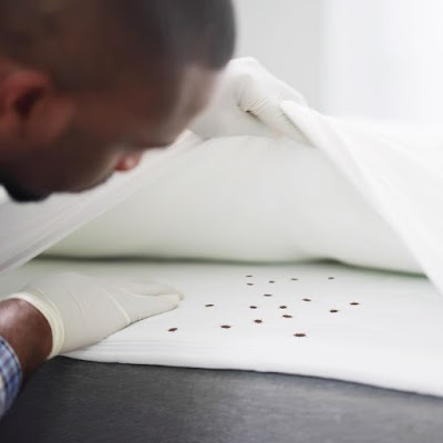 Eliminate 'Em Pest Control Services gallery photo