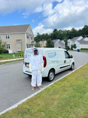 Seaport Pest Solutions