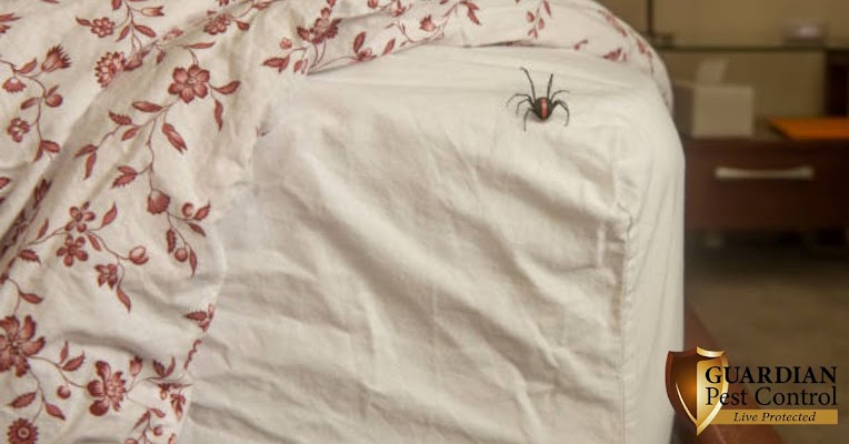 Guardian Pest Control gallery photo