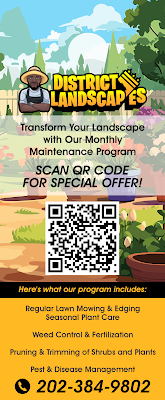 District Landscapes gallery photo