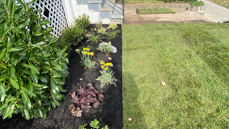 Townhome Landscapes Landscaper in Washington, DC photo