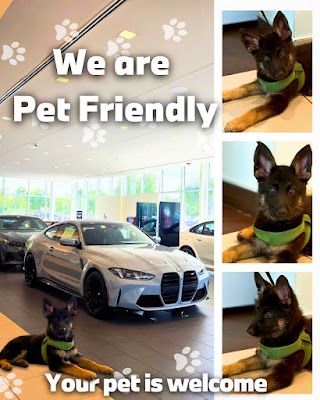 BMW of Gainesville Service photo
