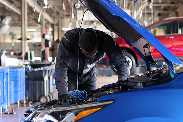 MAGIC AUTO REPAIRS Auto Repair Shop in Gainesville, FL photo