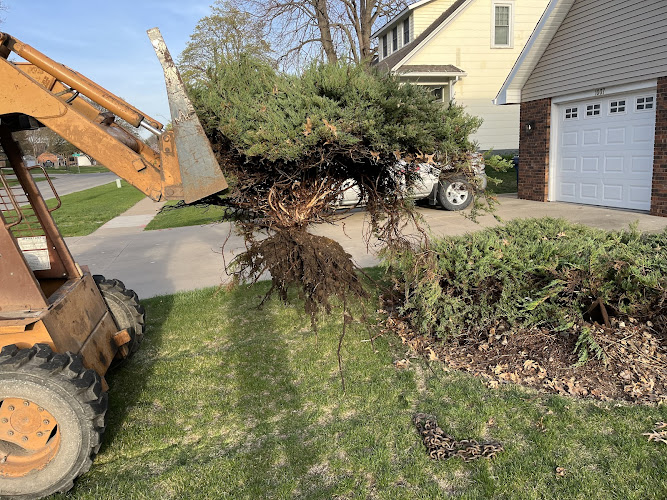 Aspen Outdoor Services Lawn Care Service in Pella, IA photo